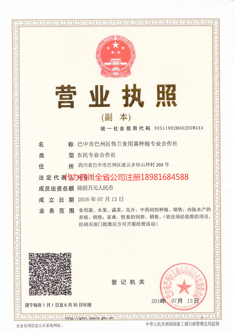 新乡新乡伟兰食用菌种植专业合作社